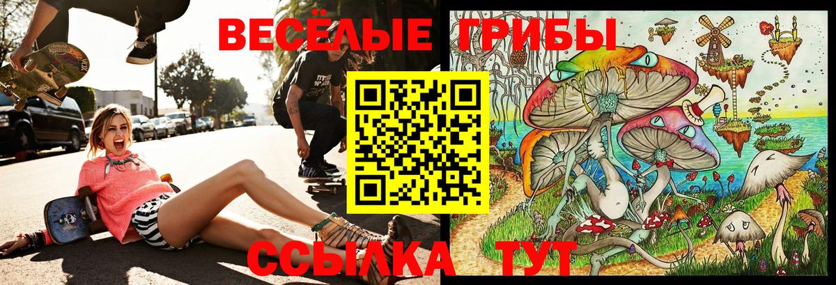Галлюциногенные грибы Psilocybe Серпухов